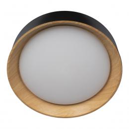 Изображение продукта Потолочный светодиодный светильник Loft IT Coin 10202 Black 